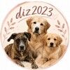 diz2023